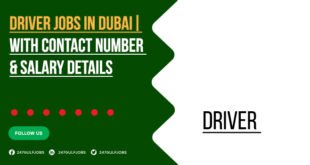 Driver Jobs in Dubai